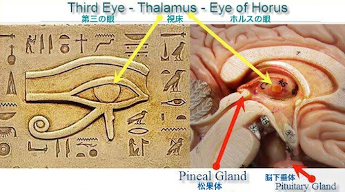 宇宙 発見 宇宙に現れた神の目 古代エジプト ホルスの目 に似た銀河発見 第３の目 安心 平穏 喜び 夢 希望 幸せ 占あかり