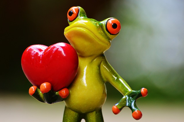 heart