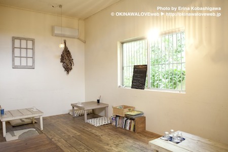 17_00_03_Rogi_01_450