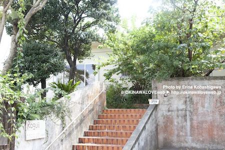 17_00_03_Rogi_05_450