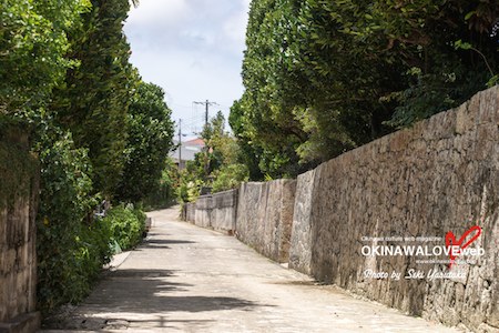 26_4-5_OMJ_Hwichimunkuduchi_K_2_450