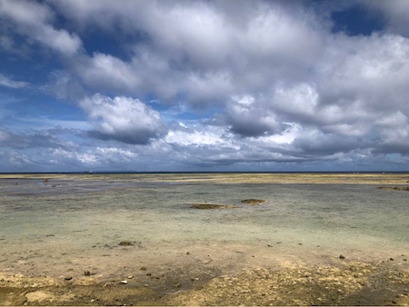 328840662_848652866434160_8681075411014979053_n