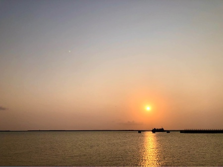 340756765_1270204277209614_3886640992266062623_n