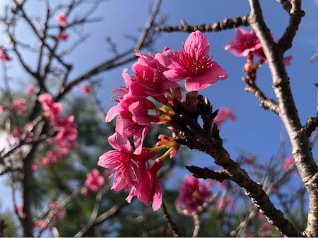 428231144_7257437207647787_7209209706555358012_n