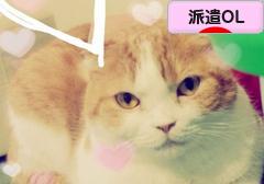 にほんブログ村 ＯＬ日記ブログ 派遣OLへ