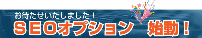 『ＳＥＯオプション』