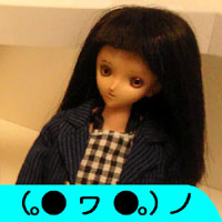 ゆかりちゃん(｡● ヮ ●｡)ノ