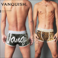 VANQUISH(ヴァンキッシュ)