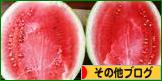 にほんブログ村 その他ブログへ