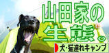 にほんブログ村 アウトドアブログ 犬連れ・猫連れキャンプへ