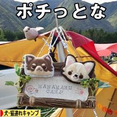 にほんブログ村 アウトドアブログ 犬連れ・猫連れキャンプへ