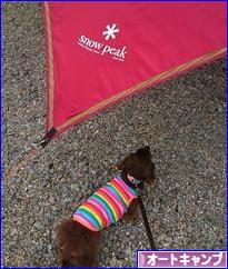 にほんブログ村 アウトドアブログ オートキャンプへ