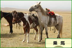 にほんブログ村 アウトドアブログ 乗馬・馬術へ