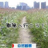 にほんブログ村 アウトドアブログ 自然観察へ