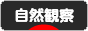 にほんブログ村 アウトドアブログ 自然観察へ