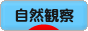 にほんブログ村 アウトドアブログ 自然観察へ