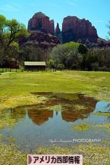 にほんブログ村 海外生活ブログ アメリカ西部情報へ