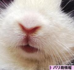 にほんブログ村 海外生活ブログ バリ島情報へ