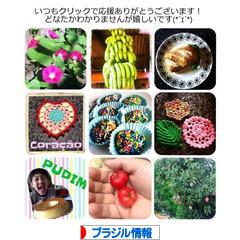 にほんブログ村 海外生活ブログ ブラジル情報へ