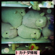 にほんブログ村 海外生活ブログ カナダ情報へ