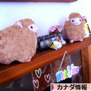 にほんブログ村 海外生活ブログ カナダ情報へ