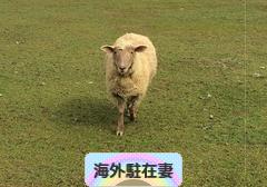 にほんブログ村 海外生活ブログ 海外駐在妻へ