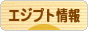 にほんブログ村 海外生活ブログ エジプト情報へ