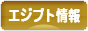 にほんブログ村 海外生活ブログ エジプト情報へ