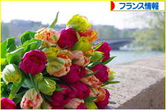 にほんブログ村 海外生活ブログ フランス情報へ