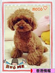 にほんブログ村 海外生活ブログ 香港情報へ