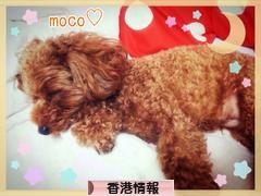 にほんブログ村 海外生活ブログ 香港情報へ