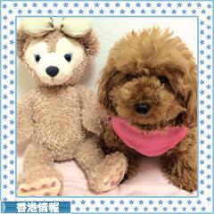 にほんブログ村 海外生活ブログ 香港情報へ