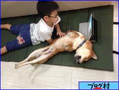 にほんブログ村 海外生活ブログへ