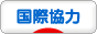 にほんブログ村 海外生活ブログ 国際協力へ