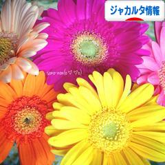 にほんブログ村 海外生活ブログ ジャカルタ情報へ