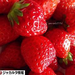 にほんブログ村 海外生活ブログ ジャカルタ情報へ