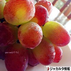 にほんブログ村 海外生活ブログ ジャカルタ情報へ