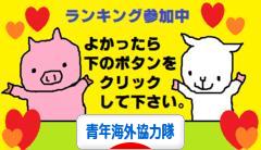 にほんブログ村 海外生活ブログ 青年海外協力隊へ