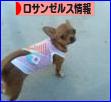 にほんブログ村 海外生活ブログ ロサンゼルス情報へ