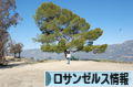 にほんブログ村 海外生活ブログ ロサンゼルス情報へ