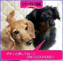 にほんブログ村 海外生活ブログ ロサンゼルス情報へ