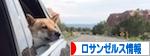 にほんブログ村 海外生活ブログ ロサンゼルス情報へ