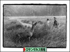 にほんブログ村 海外生活ブログ ロサンゼルス情報へ