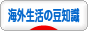 にほんブログ村 海外生活ブログ 海外生活の豆知識へ