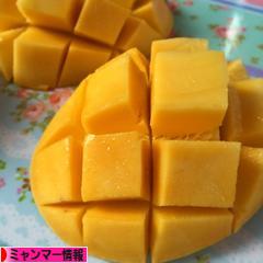 にほんブログ村 海外生活ブログ ミャンマー情報へ