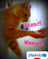 にほんブログ村 海外生活ブログ シアトル・ポートランド情報へ