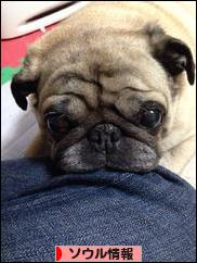 にほんブログ村 海外生活ブログ ソウル情報へ