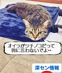 にほんブログ村 海外生活ブログ 深セン情報へ