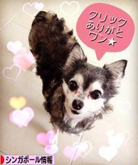 にほんブログ村 海外生活ブログ シンガポール情報へ