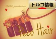 にほんブログ村 海外生活ブログ トルコ情報へ